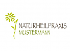 Naturheilpraxis, Heilpraktiker