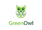 Green Owl