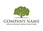 Baum, grn, Vertrauen, Finanzen, Wachstum, Logo