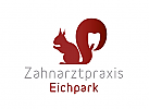 Zhne, Zahnrzte, Zahnmedizin, Zahnpflege, Zahnarzt, Zahn, Logo, Eichhrnchen