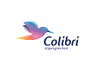 , Vogel, Flgel, Bird, Kolibri, Hummingbird Logo, bunt