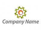 kologisch, Blume, Stern, Logo