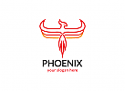, Phoenix, Phnix, Vogel, Feuer, Sicherheit, Adler, Falke, berwachung