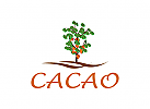 Cacao Tree Logo