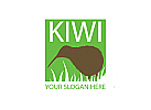 Kiwi Logo, Vgel, Frchte, grn, exotisch
