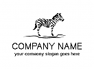 zebra, afrika, tier, schwarzes, logo