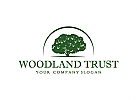 Vertrauen, Holz, Baum, Bank, Finanzen, Investitionen, Management, Recht, Logo