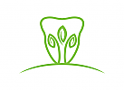 , Zhne, Zahnrzte, Zahnarztpraxis, Logo Zahn und Pflanze / Blte