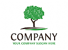 Baum Logo