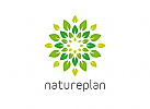 ko, Zeichen, Signet, Logo, Natur, Bltter, Pflanze, Gartenbau