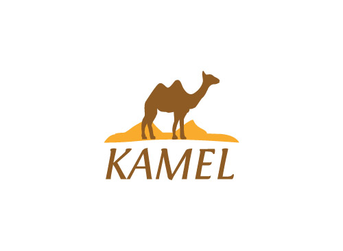 Kamel, Reise, Sahara, Tourismus,Sand