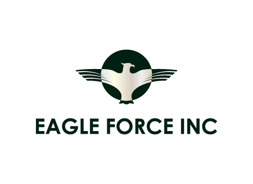 Eagle Force INC