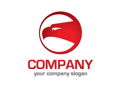 Vogel Logo, Sicherheit, Adler Logo, Falke Logo, berwachung, Stern logo
