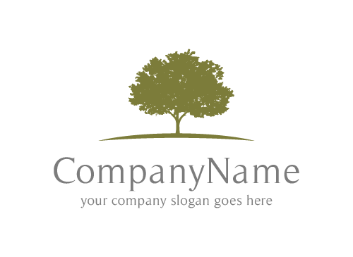 Baum Logo, Natur Logo, Eiche Logo, Vertrauen Logo