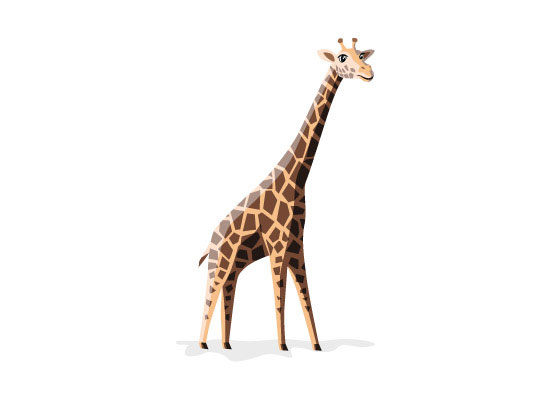 3D Giraffe