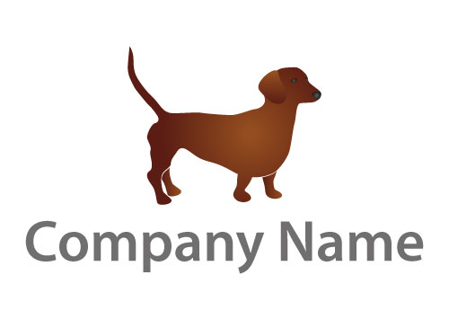 Zweifarbig, Tierarzt, Tier, Hund, Hundeschule, Hundehalter, Logo