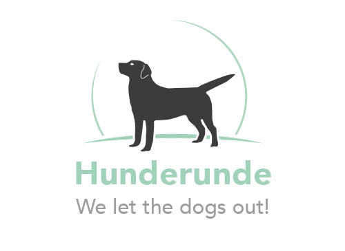 Dog, Labrador, Tierarzt, Hundetraining