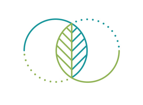 ko, Zeichen, zweifarbig, Natur, Blatt, Unendlich, Linien, Punkte, Logo