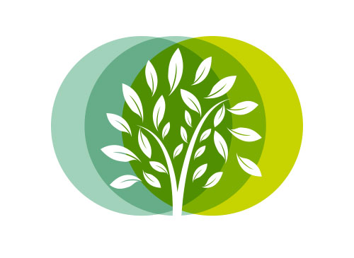 ko Logo, Baum Logo, Natur Logo, Kreis Logo