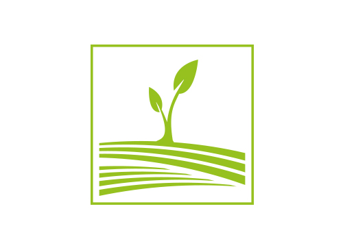 Oko Natur Pflanze Logo Logomarket