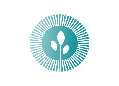 ko, Zeichen, Natur, Pflanze, Logo