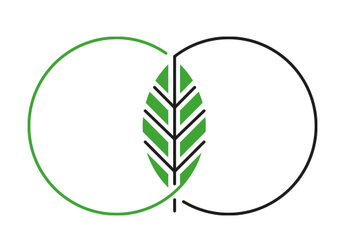 , kologie, Natur, Blatt, Kreislauf, Logo
