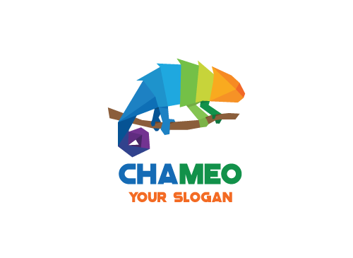 , Zeichen, Chameleon, Chamleon, Polygon, bunt, Media, Marketing Logo