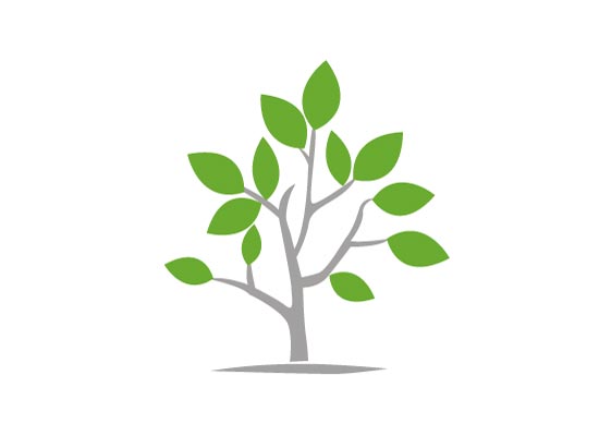Baum, Pflanze - Logo
