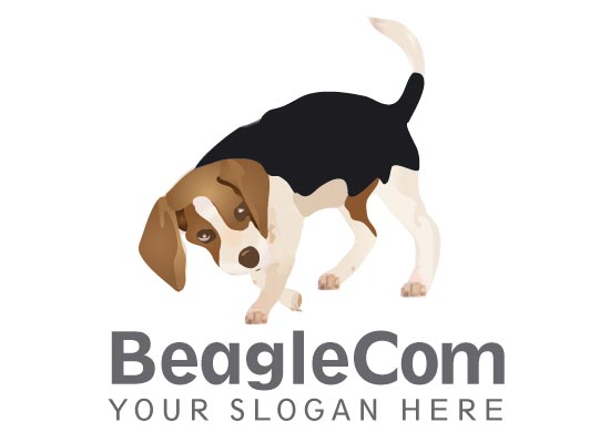 Beagle Hund