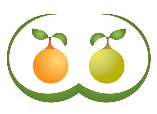 Orange und Birne