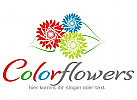 Color Flowers