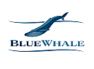 , Signet, Logo, Wal, Whale