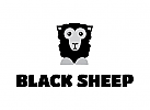 Black Sheep