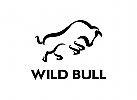 Wild Bull