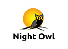 Night Owl