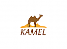 Kamel, Reise, Sahara, Tourismus,Sand