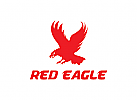 Logo, Adler, Falke, Falke, Flgel, Natur, Fliegen, Sicherheit