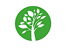 , Baum Logo