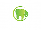 Öko, Zähne, Zahnärzte, Zahnarztpraxis, Logo Zahn, grünes Blatt