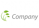 kologisch, Zeichen, Zeichnung, Symbol, Natur, Bltter, Pflanze, Logo