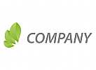 kologisch, Zeichen, Zeichnung, Symbol, Natur, Bltter, grn, Vegan, Natur, Logo