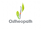 , Orthopdie, Physiotherapie, Ostheopath, Heilpraktiker, Arztpraxis