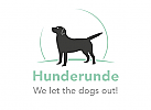 Dog, Labrador, Tierarzt, Hundetraining