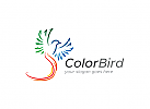 , Vogel, Flgel, Bird, Kolibri, Hummingbird Logo, bunt 