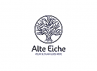 , Zeichen, Eiche, Baum, Signet, Logo, Arztpraxis, Kreislauf, Leben, Life Balance, Natur, Logo