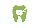 Öko, Zähne, Zahnärzte, Zahnpflege, Zahnmedizin, Zahnarzt, Zahn, Vogel, Logo