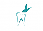 , Zahn, Kolibri, Endodontologie, Logo