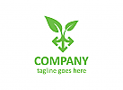 kologie Logo, Blume Logo, Natur Logo, Garten Logo, Saatgut, Landwirtschaft, Agrar