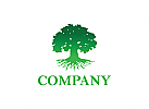 Baum Logo, Natur Logo, Firma Logo, Unternehmen Logo, Beratung Logo, Logo, Grafikdesign, Design, Branding