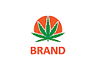 kologie Logo, Natur Logo, Marihuana Logo, Cannabis Logo, Behandlung Logo